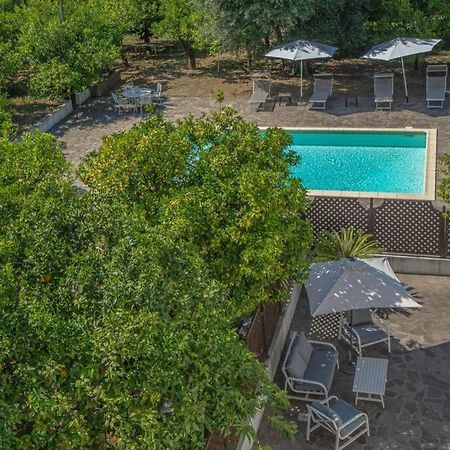 Casa Gege', For Up To 5 Guests, Shared Pool, Sorrento Center Apartment Luaran gambar