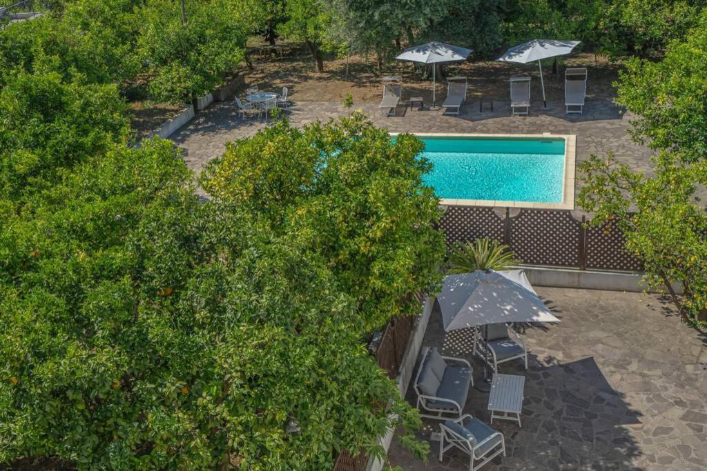 Casa Gege', For Up To 5 Guests, Shared Pool, Sorrento Center Apartment Luaran gambar